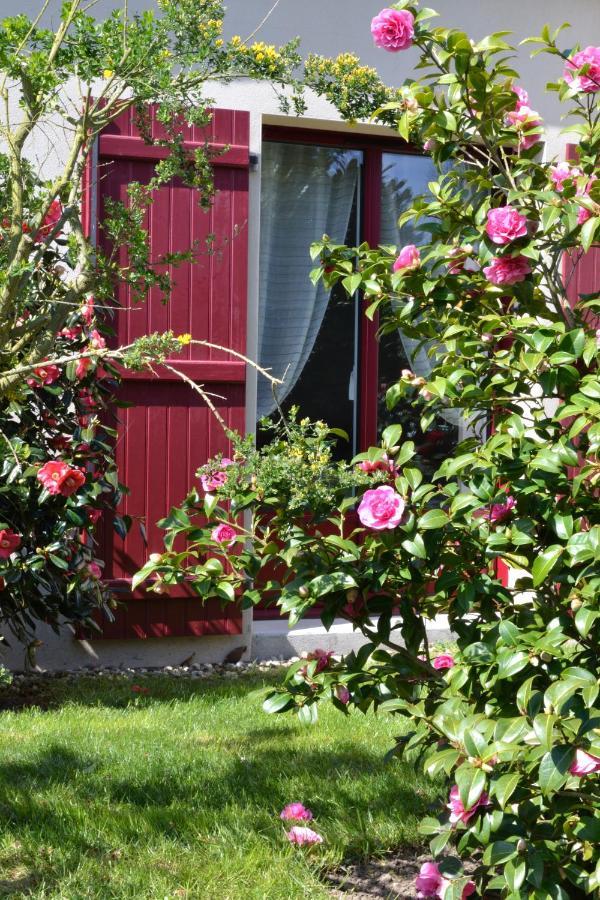 Le Tertre Gatinais Bed & Breakfast Saint-Briac-sur-Mer Exterior photo